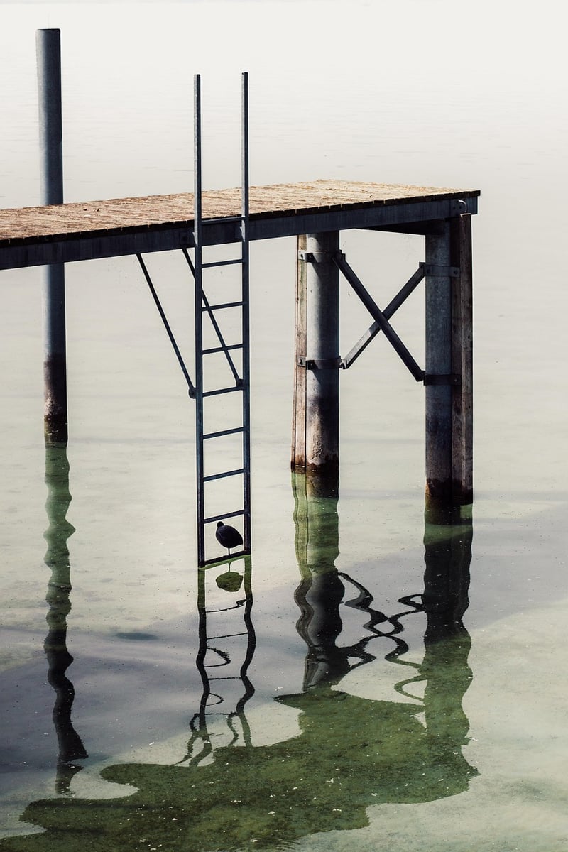 Ladder Shelf